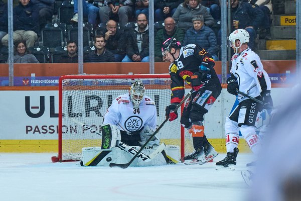 20241029 - SC Bern vs. HC-Lugano