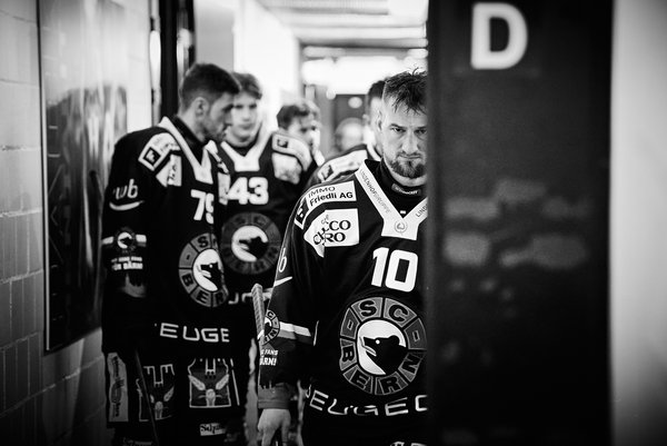 SC Bern vs. ZSC Lions | 01.02.2025