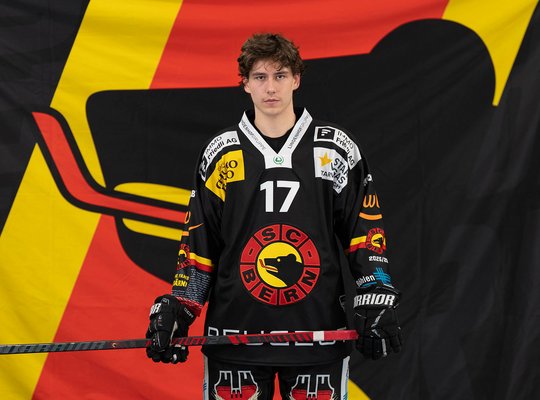 Levin Moser Levin Moser